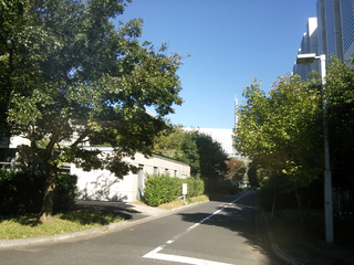 DSC_0392.jpeg