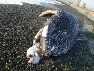 20120102_MGP0313_1600.jpg
