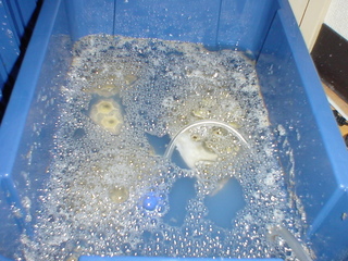 DSC01776.JPG