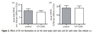 fig2.jpg