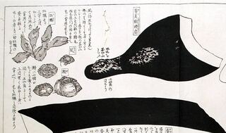 oyamada2.JPG